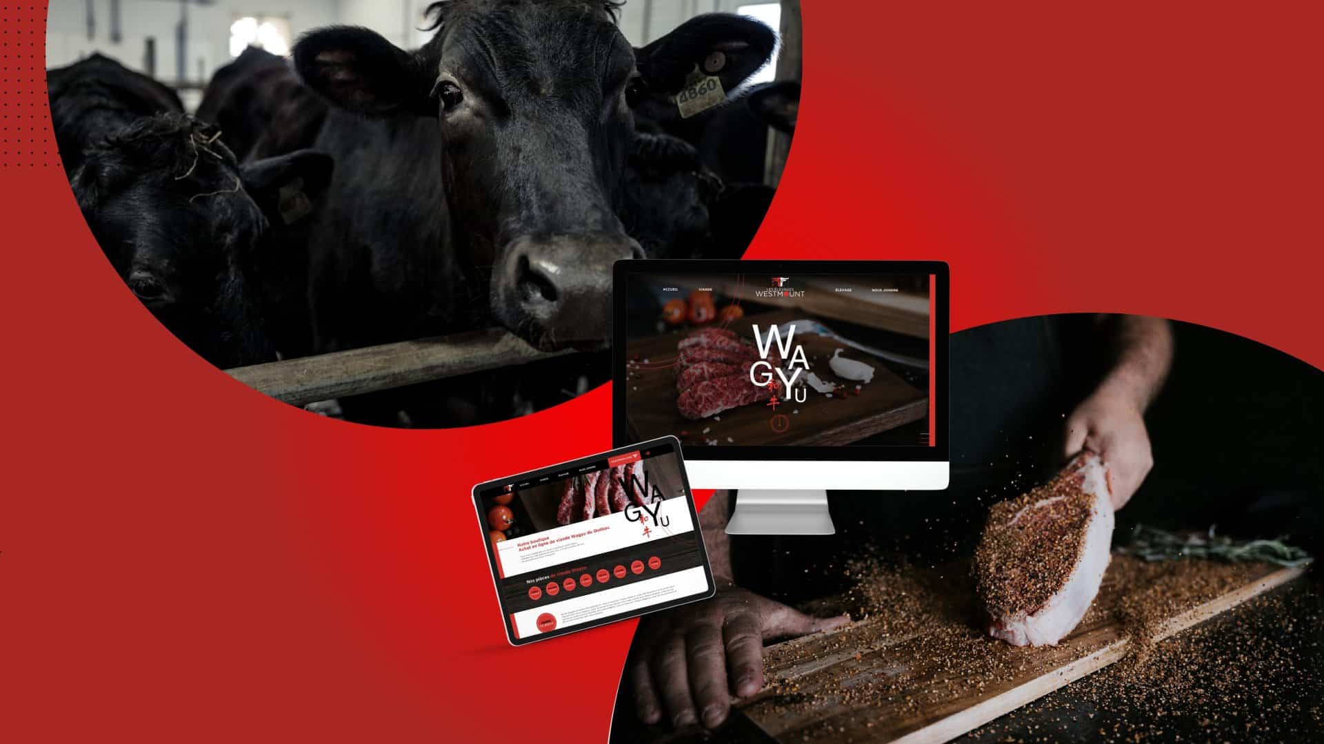 Site web e-commerce pour Les Élevages Westmount spécialisé en vente en ligne de boeuf wagyu