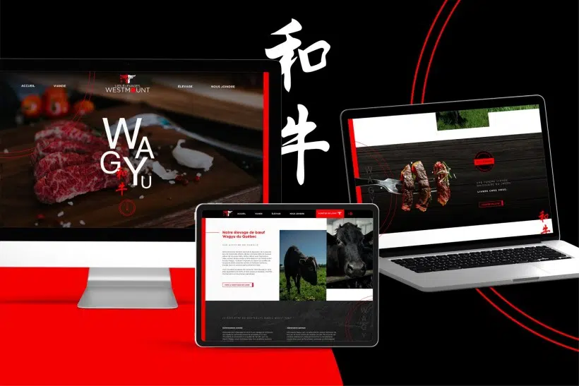 Développement site web e-commerce Les Élevages Westmount