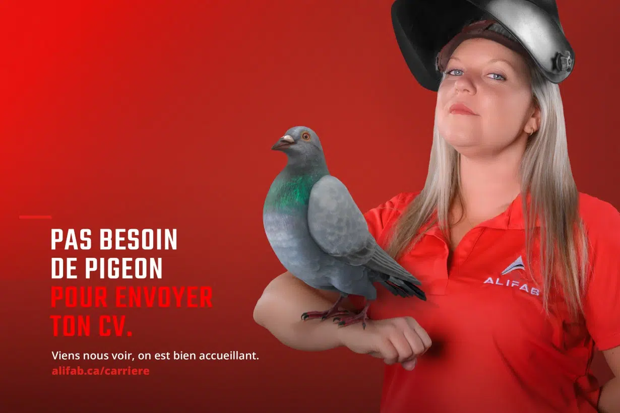Alifab-Pigeon