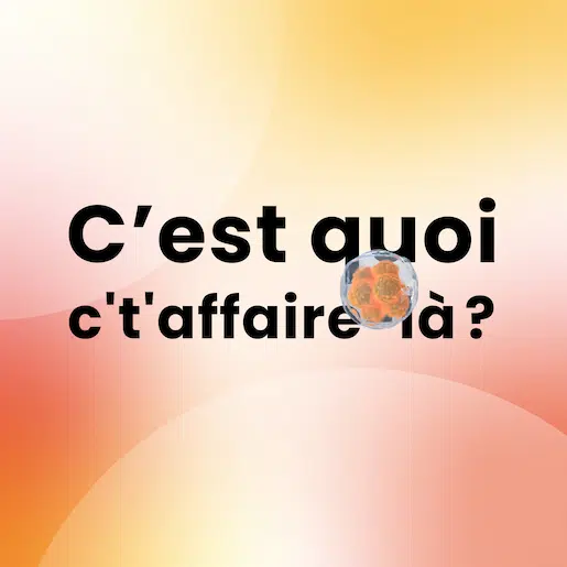 Élaboration d'une campagne publicitaire numérique pour le client Opération Labo
